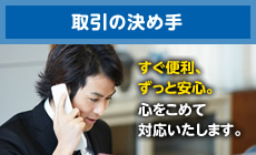 ����̌��ߎ�