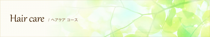 Hair care ／ ヘアケア コース