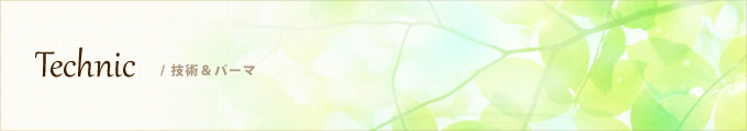 Technic ／ 技術＆パーマ