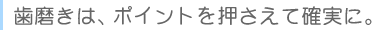 　歯磨きは、ポイントを押さえて確実に