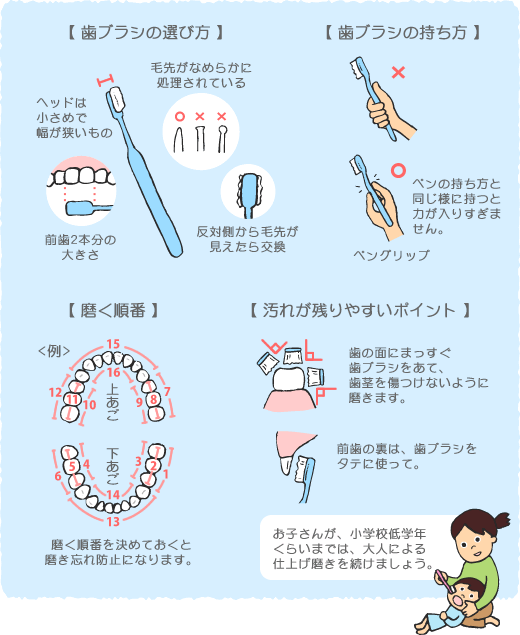 　歯ブラシの選び方・持ち方