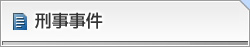刑事事件