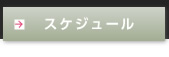 スケジュール