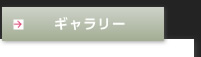 ギャラリー