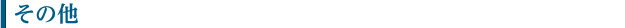 その他