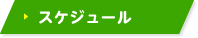 スケジュール