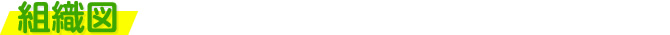組織図