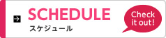 スケジュール
